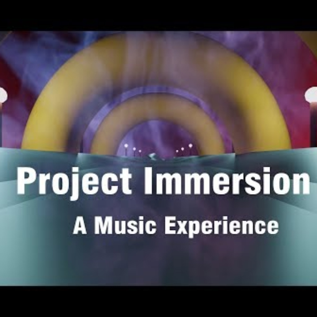 Project Immersion