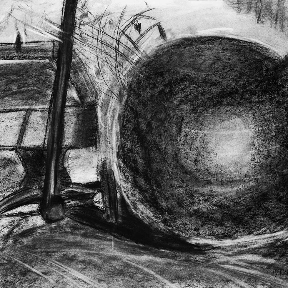 Wagon & Exercise Ball