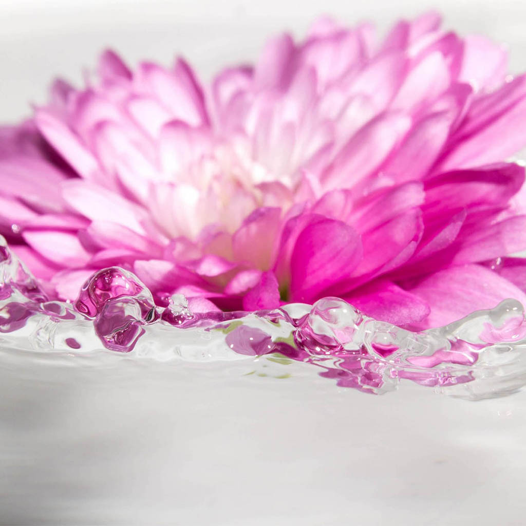 Flower Water Splash 3