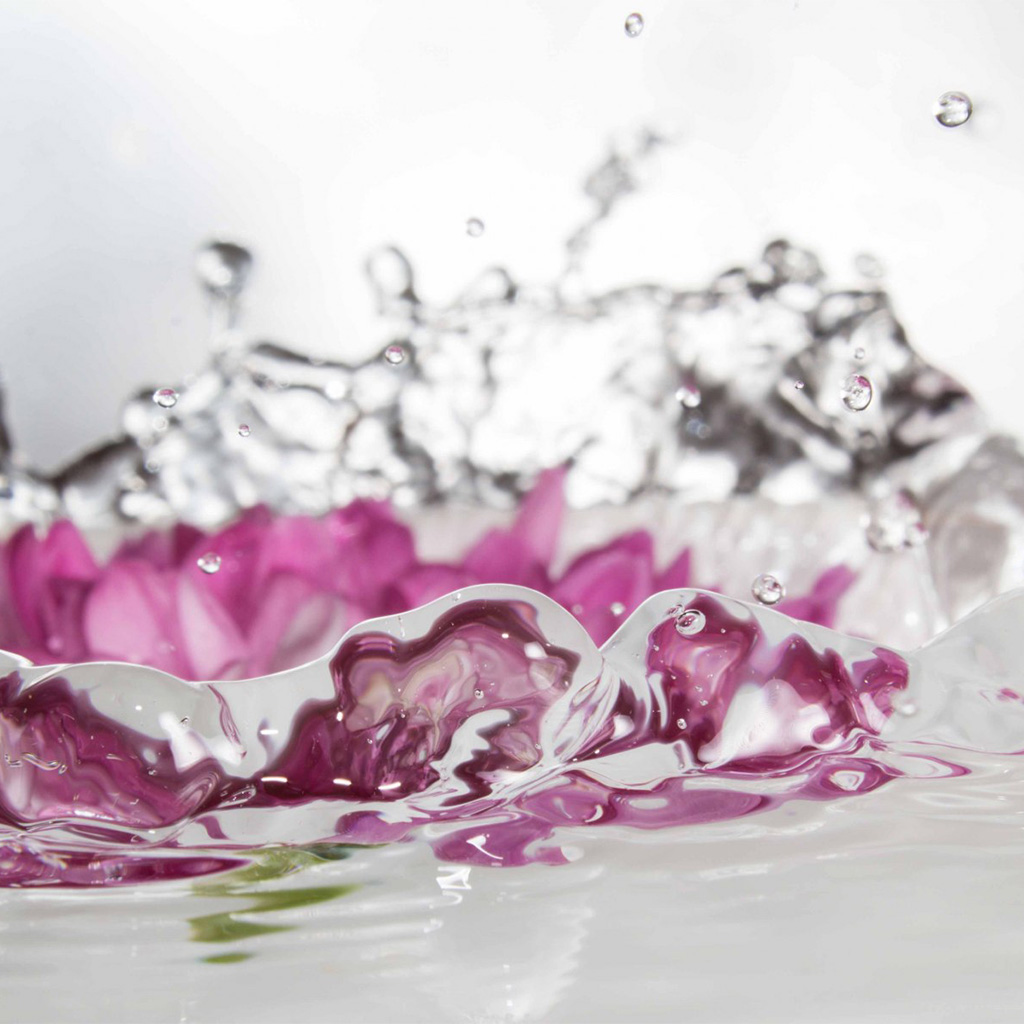 Flower Water Splash 4